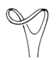 AMAX- 11-3013-12